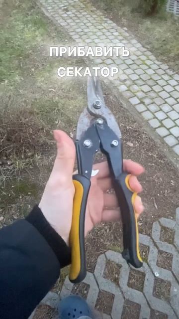 Хорошо что есть еще один малиновый куст. Совсем без ма? смотреть онлайн