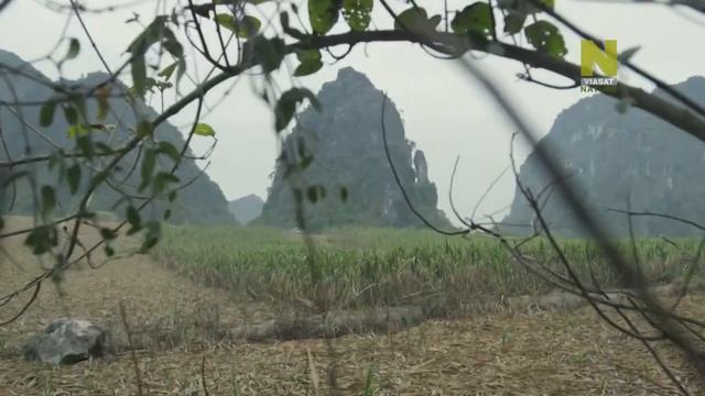 Tайное обезьянье царство в Китае. Документальное кино смотреть онлайн