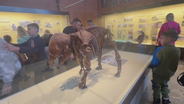 Музей динозавров. Палеонтологический музей Ю.А.Орлова г. Москва смотреть онлайн