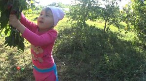 ИЗБИВАЕТ СЕСТРЕНКА