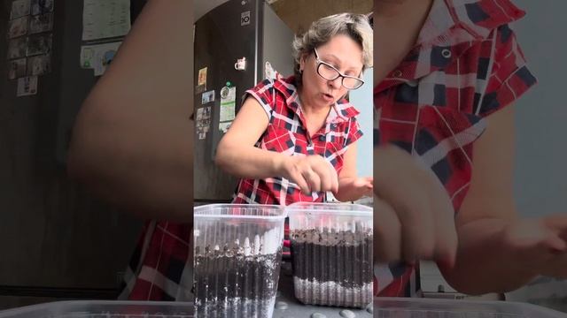 Лук эксибишен посеяла 4 Марта 25 год . смотреть онлайн