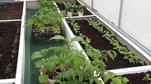 Оригинальное крепление чехла на каркасе теплицы " Сибирский агроном".