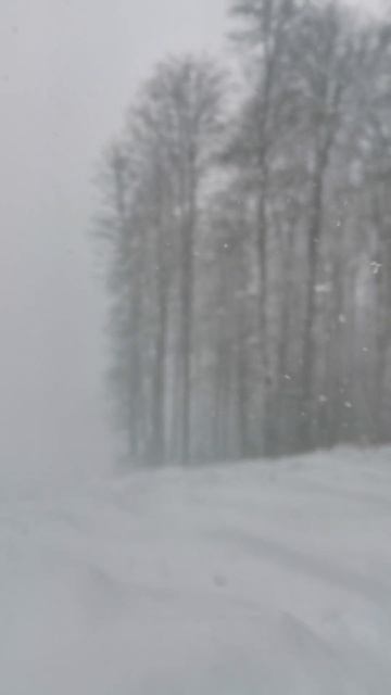 Красная Поляна, 25 февраля 2025 г, лавинная опасность #natur смотреть онлайн
