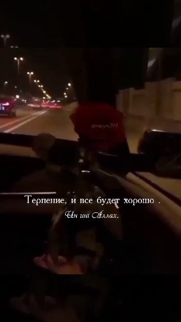 Братья. Всем. Люди. Знайте. Что. Ми. Все. Кто. Ест. Но. Алл? смотреть онлайн