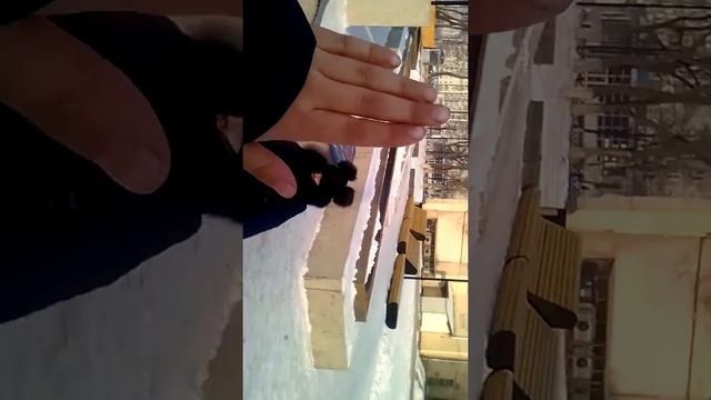 Это моё первое видео возле сити молла смотреть онлайн