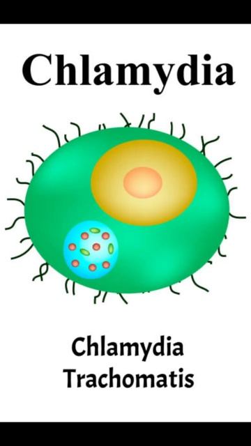 Это те самые инфекции передаваемые половым путем. (ИПП смотреть онлайн