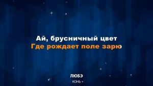 Любэ - Конь (Караоке)