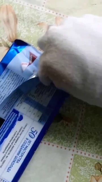 Врискас ест шоколадку #рек#мем#рекомендации#врискас#к? смотреть онлайн