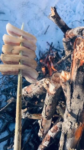 Как правильно кушать сало на природе?🤔 смотреть онлайн