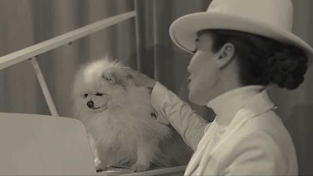 НОЗИМА- “Beautiful Tango” ( Cover ) Hindi Zahra #nozima #cover #englishsong #star #tango