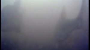 Лещ, мормышка, боковой кивок, подводная съёмка.