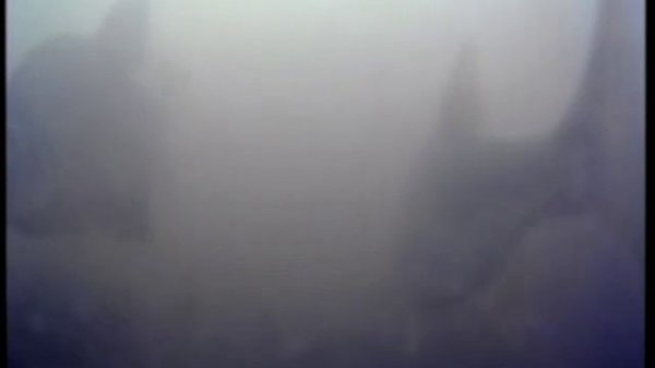 Лещ, мормышка, боковой кивок, подводная съёмка.