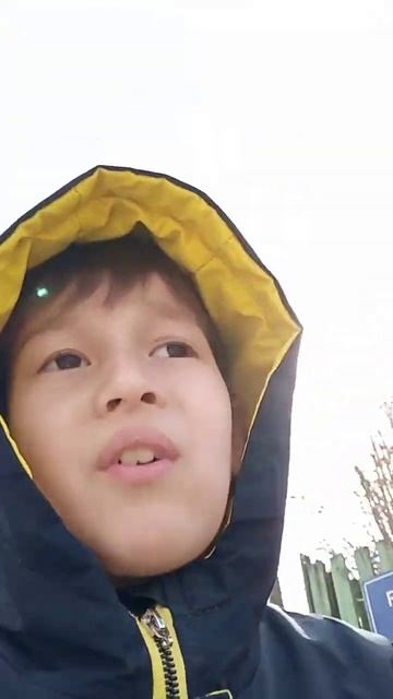 что за фигня У меня собака есть смотреть онлайн