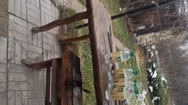 Пошёл сбор Берёзового Сока! смотреть онлайн
