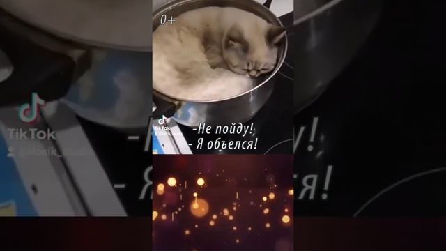 Тайная жизнь домашних животных 3 смотреть онлайн