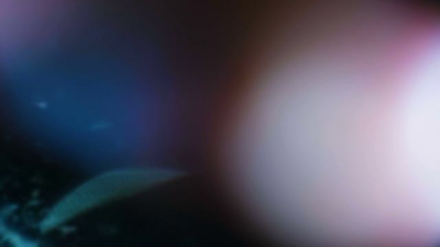 Glass Light (Стеклянный свет) Ultra HD смотреть онлайн