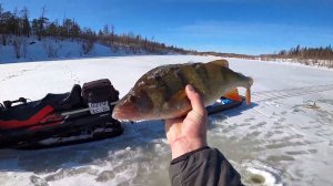 Классная рыбалка на озере весной. День первый. 25.04.2022
