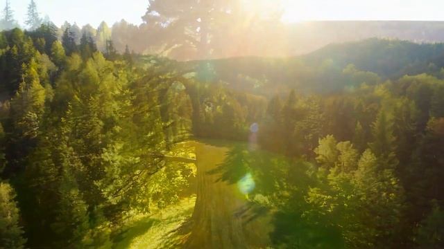 Заподозрив, что у мужа есть любовница, жена подложила ? смотреть онлайн