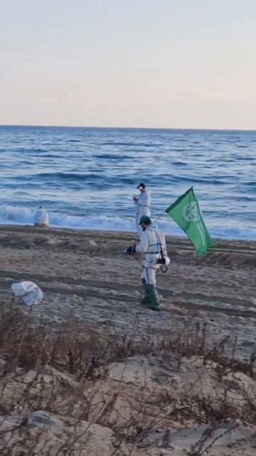 Ужасное состояние пляжей черного моря 2025.#черноеморе # смотреть онлайн