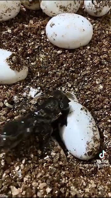 31 августа 2021 г. смотреть онлайн