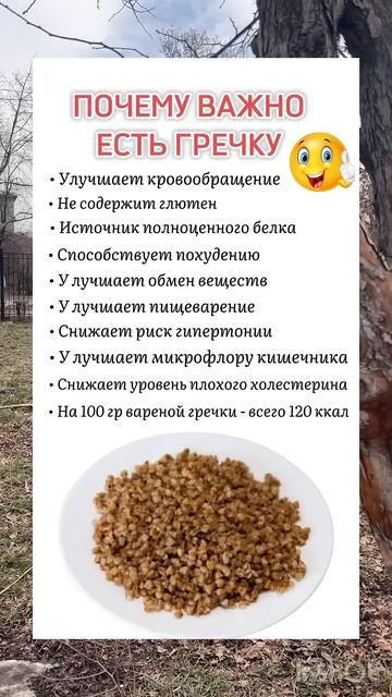 Польза гречку #рецепты смотреть онлайн
