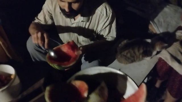 ,,Сельская хроника " Как мы вкусно и эффективно ели ар? смотреть онлайн