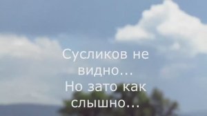 А вы слыхали как поют ... суслики_ Послушайте.