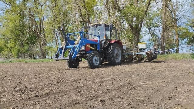 ПОСЕВНАЯ ПОДСОЛНЕЧНИКА.