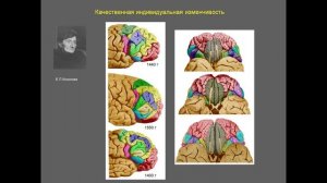 С.В. Савельев - Изменчивость и гениальность среди людей