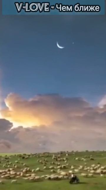 В каждой судьбе должна быть красота #vlove #чемближе #кра? смотреть онлайн