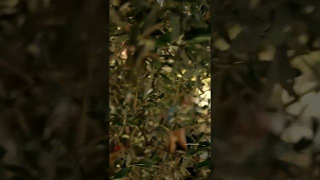 Мне хватает полчаса каждый день 😎 - У Меня Всё Ещё Ест? смотреть онлайн