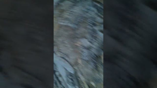 Заброшенае ферма .Если понравится ставь лайки и подми? смотреть онлайн