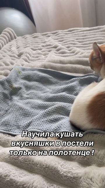 Как только я ем фрукты 🍋🟩 в постели - Милка несет св смотреть онлайн