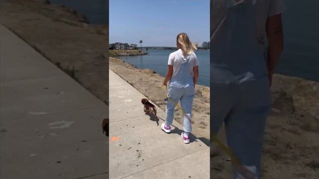 Первое видео спустя 5 месяцев перерыва! Считаем вместе смотреть онлайн