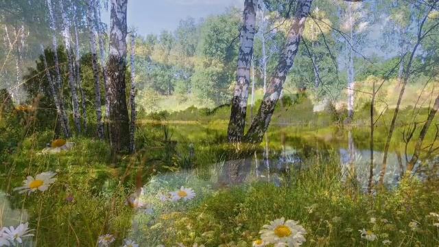 соловьи смотреть онлайн