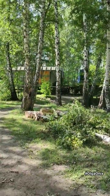 Электровоз среди берёз смотреть онлайн