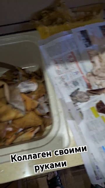 Всё ещё едите покупной коллаген? #коллаген #шкуры #едад смотреть онлайн