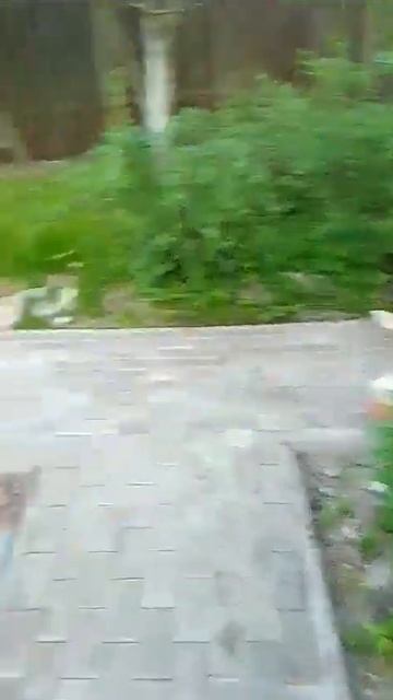 Где можно проложить кабель для освещения дорожек #стр? смотреть онлайн