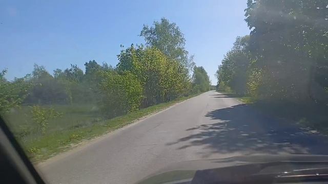 АВТОПРОГУЛКА ПО ЛЕСУ ЗА ГУСЯТАМИ смотреть онлайн