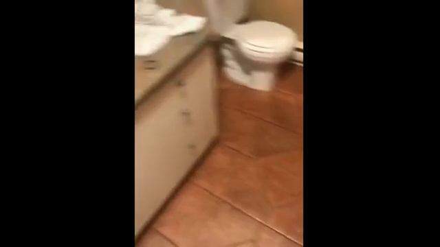 Сантехникой занимался настоящий профессионал! Приколы. Угар. Ржака. Смешное видео. смотреть онлайн