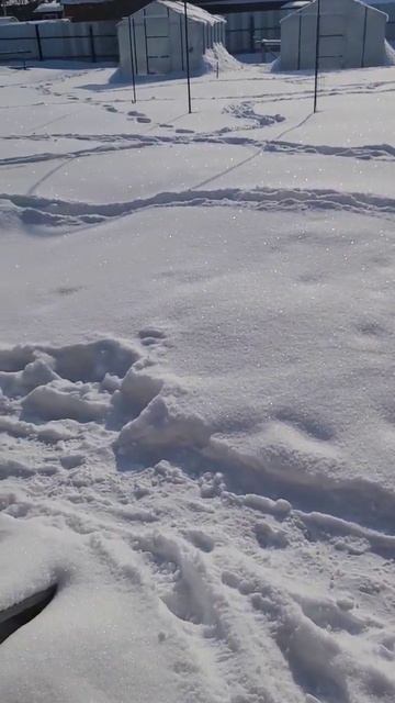 ЗИМА и СОЛНЦЕ/Что может быть лучше... смотреть онлайн