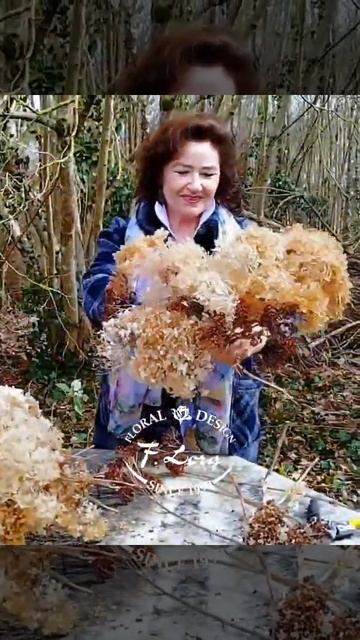 Bouquet of dry hydrangeas.Букет из прошлогодних гортензий.#hydrangea#fl смотреть онлайн