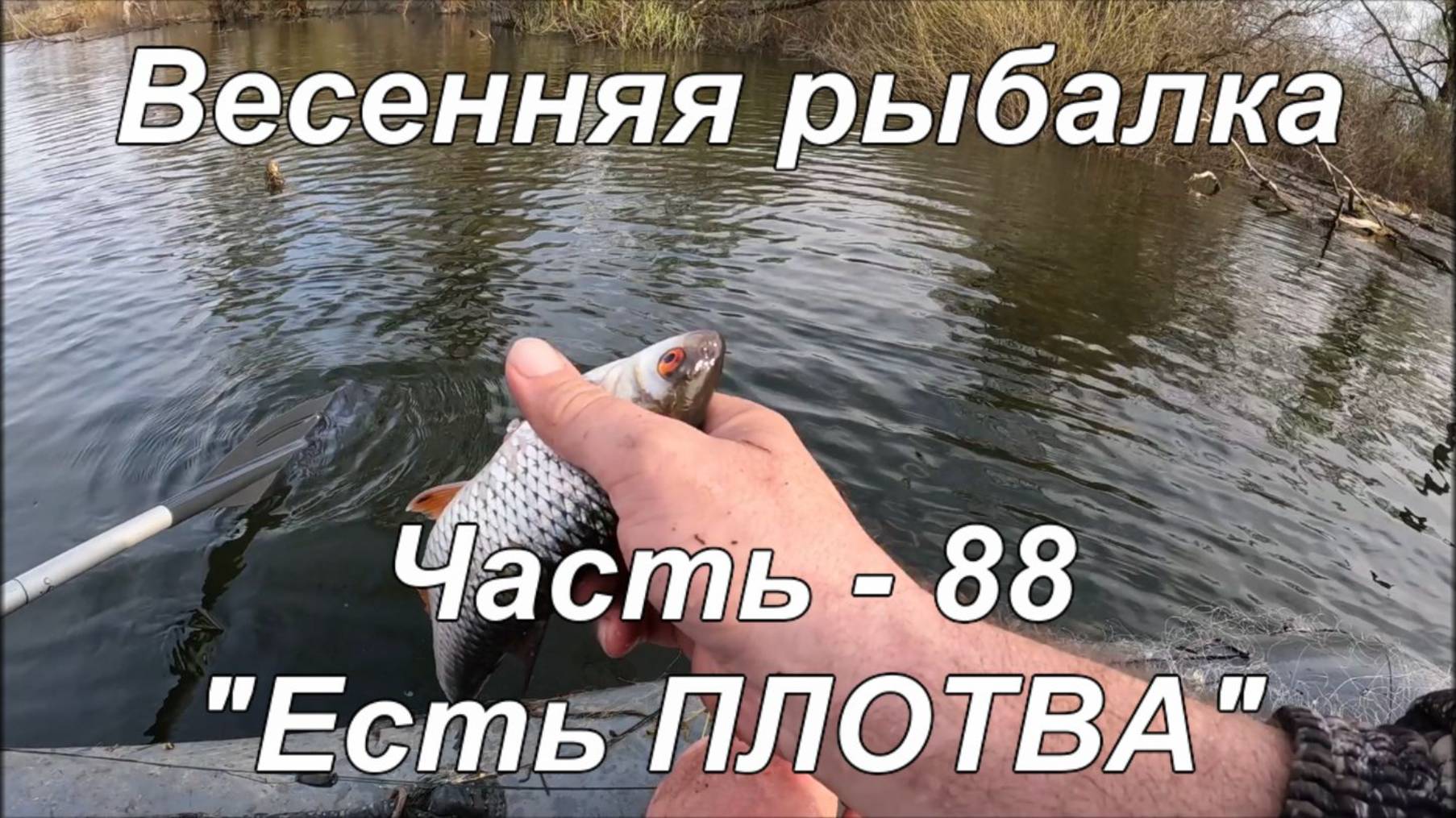 Весенняя рыбалка. Часть - 88. "Есть ПЛОТВА". смотреть онлайн