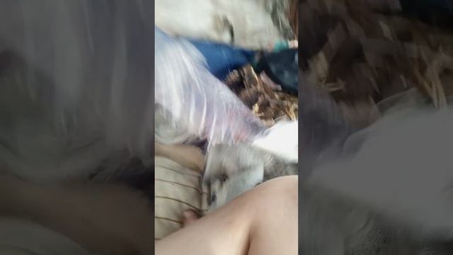 м ел лралклилчдвдради смотреть онлайн