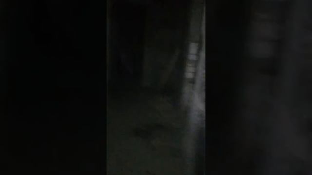 Мы ели вышли 😨 смотреть онлайн