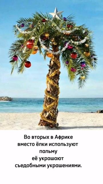 Увительные факты ,Новый год в Африке смотреть онлайн