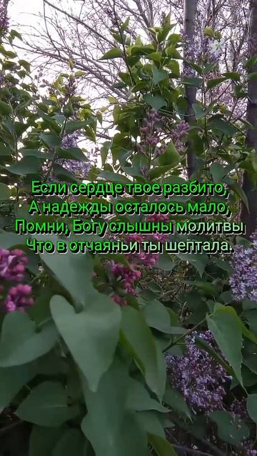 #мудрыеслова #стихи #поэзия #цитатыобоге #христианские смотреть онлайн