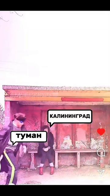 #юмор #кухня #готовимподомашнему #тожевкусно #вкуснопр смотреть онлайн