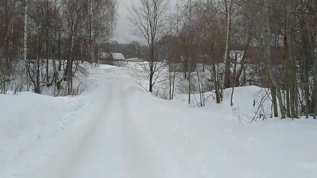 Деревня, утопающая в березах: Нижняя Гарь в зимних и ле смотреть онлайн