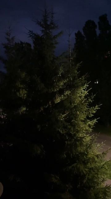 Есть ли смысл брать последний IPhone в 24 году ? #iphone смотреть онлайн